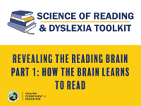 Revealing the Reading Brain Part 1: How the Brain Learns to Read