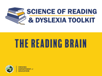 The Reading Brain
