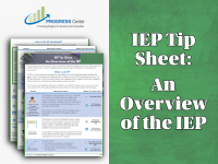 IEP Tip Sheet: An Overview of the IEP